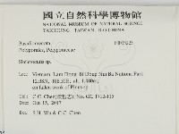 骨皮菌屬藏品圖，第2張