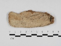 登錄號:F0033224藏品圖，第1張