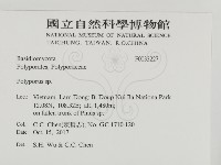 多孔菌屬藏品圖，第2張