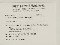 刺革菌屬藏品圖，第2張