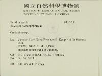 登錄號:F0033230藏品圖，第2張