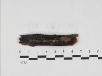 登錄號:F0033230藏品圖，第1張