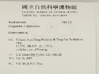 登錄號:F0033232藏品圖，第2張