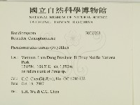 登錄號:F0033233藏品圖，第2張