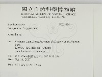 薄孔菌屬藏品圖，第2張