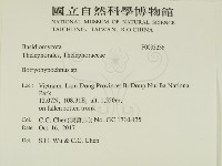 登錄號:F0033236藏品圖，第2張