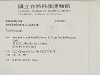 登錄號:F0033238藏品圖，第2張