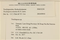 登錄號:F0033238藏品圖，第3張