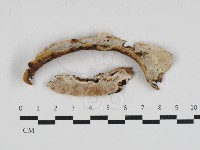 登錄號:F0033239藏品圖，第1張