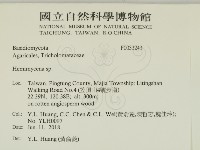 登錄號:F0033243藏品圖，第2張