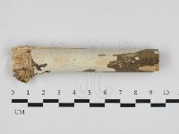 登錄號:F0033245藏品圖，第1張