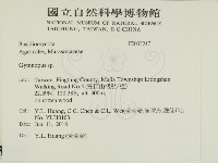 登錄號:F0033247藏品圖，第2張