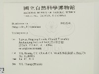 附毛菌屬藏品圖，第2張