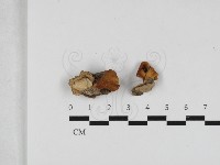 登錄號:F0033249藏品圖，第1張