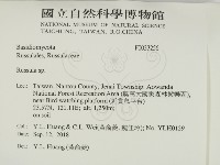 紅菇屬藏品圖，第2張