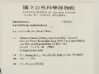 皺木耳藏品圖，第2張