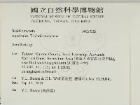 登錄號:F0033263藏品圖，第2張