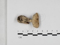 登錄號:F0033264藏品圖，第1張