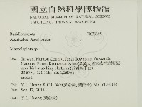 登錄號:F0033265藏品圖，第2張