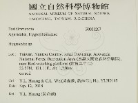 濕傘屬藏品圖，第2張