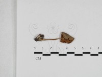 登錄號:F0033271藏品圖，第3張