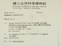 登錄號:F0033272藏品圖，第2張
