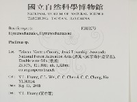 木層孔菌屬藏品圖，第2張