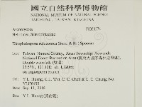 登錄號:F0033274藏品圖，第2張