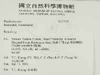 紅菇屬藏品圖，第2張