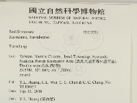 紅菇屬藏品圖，第2張