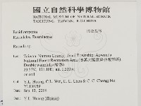 紅菇屬藏品圖，第2張