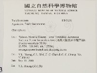 杯傘屬藏品圖，第2張