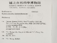 木層孔菌屬藏品圖，第2張