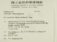 登錄號:F0033283藏品圖，第2張