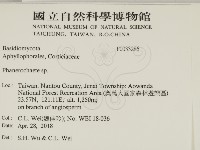 顯絲菌屬藏品圖，第2張