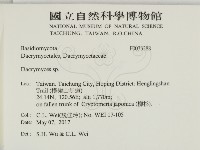 花耳屬藏品圖，第2張