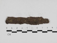 花耳屬藏品圖，第1張