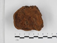 登錄號:F0033290藏品圖，第1張