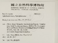 登錄號:F0033293藏品圖，第2張