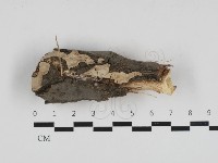 登錄號:F0033293藏品圖，第1張