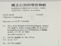 登錄號:F0033294藏品圖，第2張