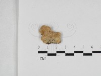 登錄號:F0033294藏品圖，第1張