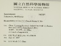 登錄號:F0033297藏品圖，第2張