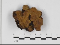 登錄號:F0033301藏品圖，第3張