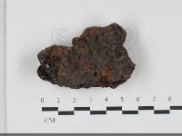 登錄號:F0033303藏品圖，第1張