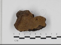 登錄號:F0033303藏品圖，第3張