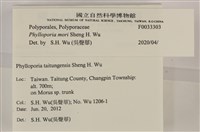 登錄號:F0033303藏品圖，第4張