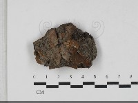 登錄號:F0033304藏品圖，第1張