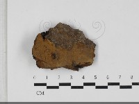 登錄號:F0033304藏品圖，第3張