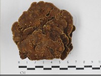 登錄號:F0033306藏品圖，第3張